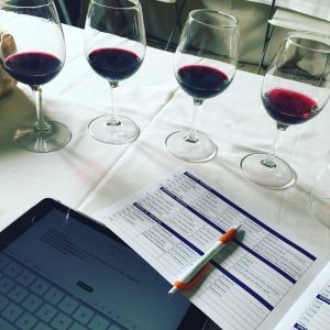 www.sommelierxte.it appunti degustazione